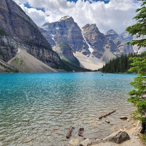 Meet your Posher, Ron